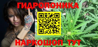 молекула духа Заволжье