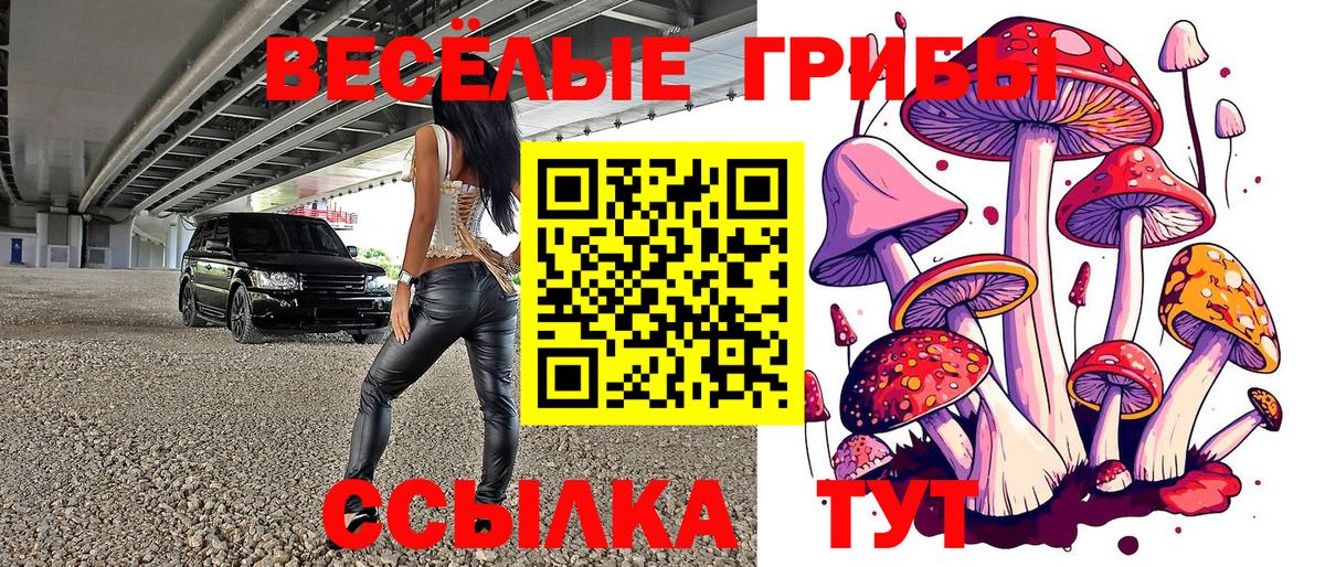 Псилоцибиновые грибы Cubensis  Вход с VPN  продажа наркотиков  Миасс 