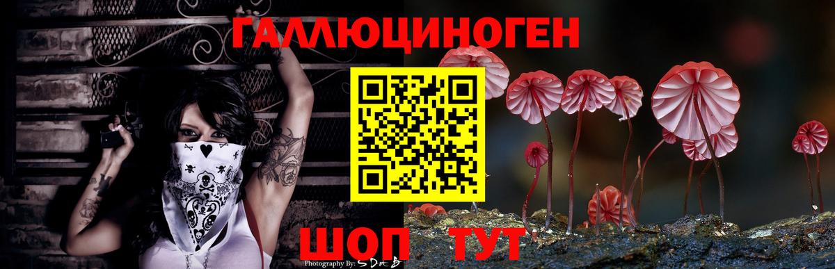 Псилоцибиновые грибы GOLDEN TEACHER Миасс